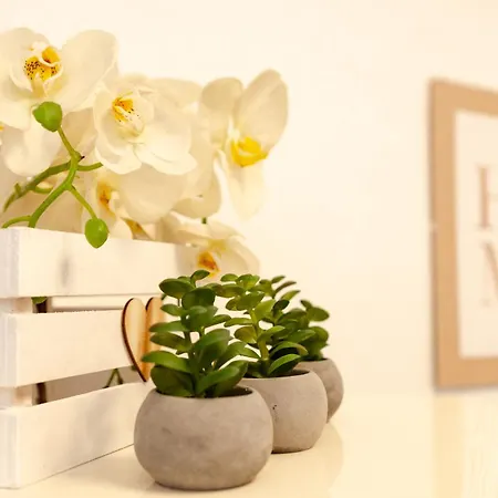 Apartment Sardinia Re - Lu Cantoni Sassari